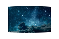 Профессиональная изогнутая панель для видеостен LG 55EF5K Профессиональная изогнутая панель для видеостен LG 55EF5K