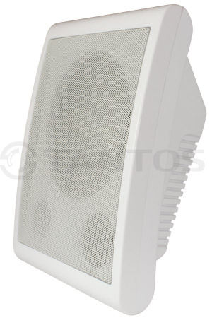 Громкоговоритель TSo-SW6a